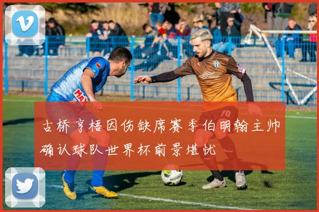 古桥亨梧因伤缺席赛季伯明翰主帅确认球队世界杯前景堪忧